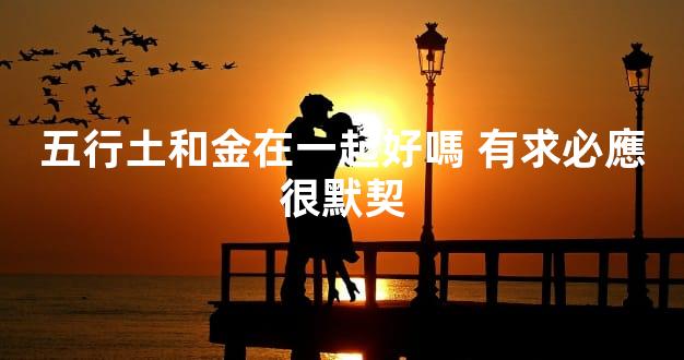 五行土和金在一起好嗎 有求必應很默契